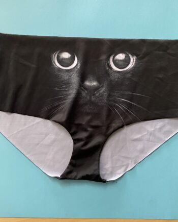 Gato negro 🐈‍⬛